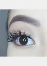 Load image into Gallery viewer, AOA Studio Eyelashes - Alexis 6-Pack
