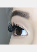 Load image into Gallery viewer, AOA Studio Eyelashes - Scarlette

